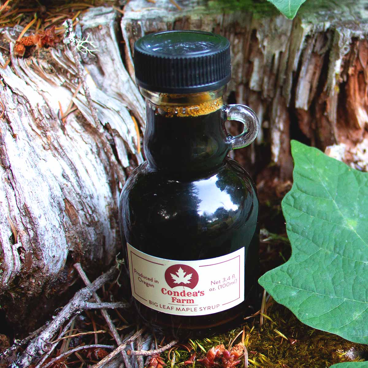 CONDEA's Bigleaf Maple Syrup