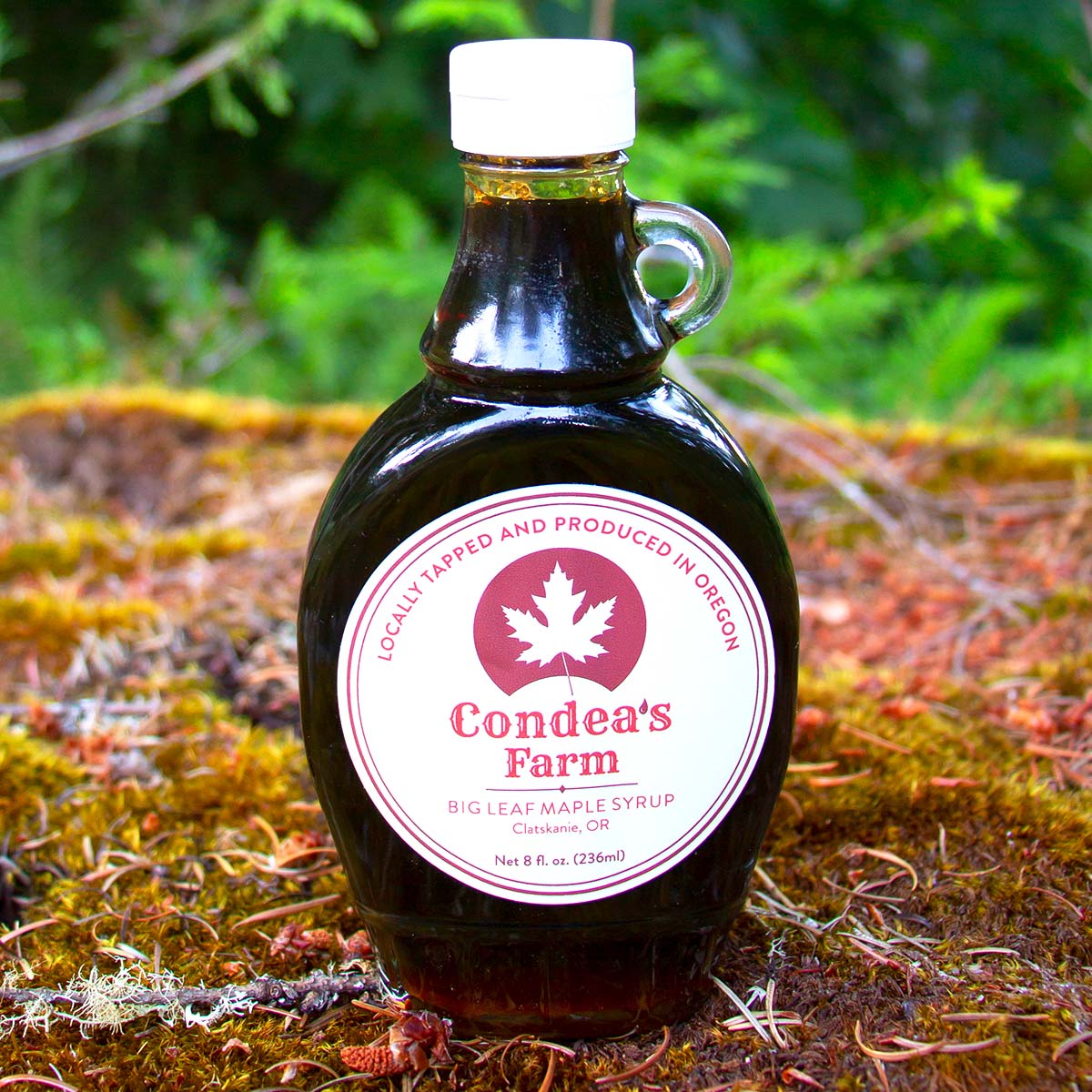 An 80z bottle of Condea's Farm big leaf maple syrup sitting on a moss covered log. Yum, yum.